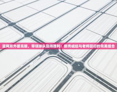 篮网双外援亮眼，带领球队赢得胜利：新秀崛起与老将回归的完美组合