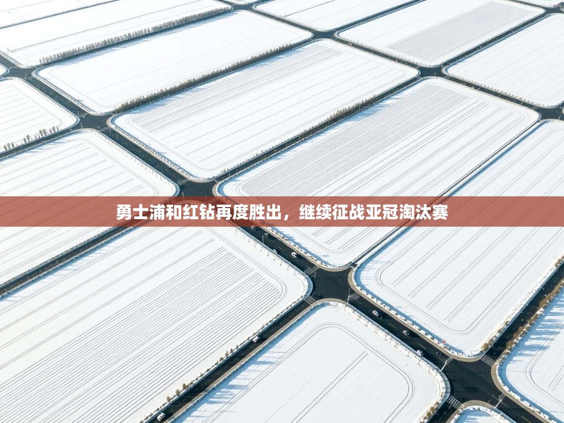 勇士浦和红钻再度胜出，继续征战亚冠淘汰赛  第1张