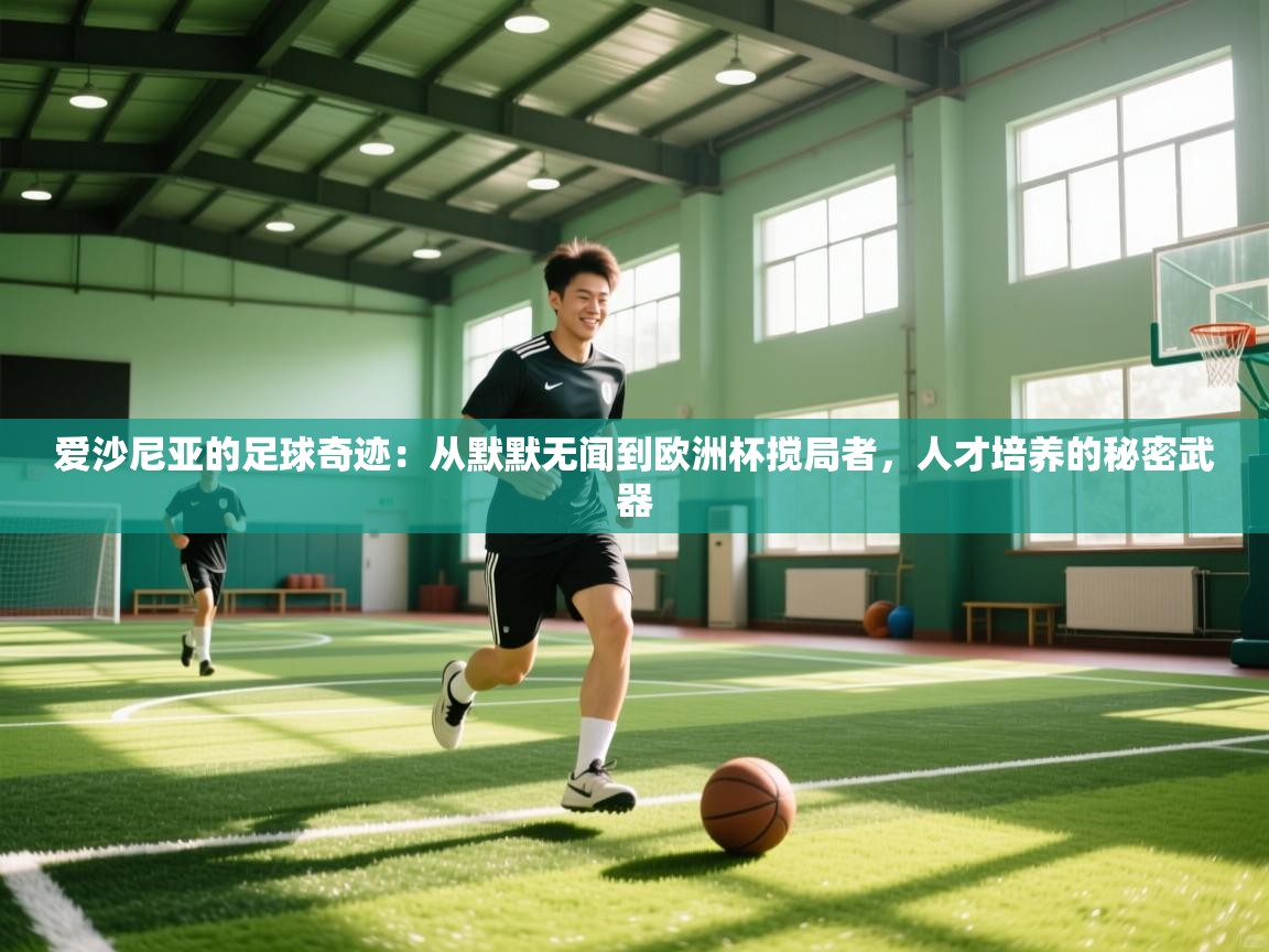 爱沙尼亚的足球奇迹:从默默无闻到欧洲杯搅局者,人才培养的秘密武器 第1张